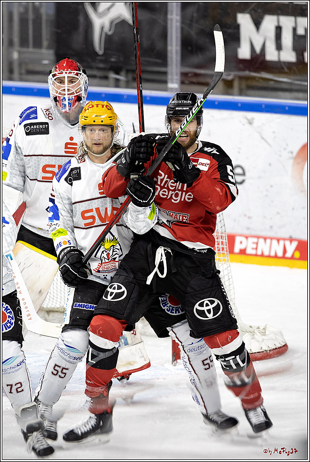 PENNY DEL;  Koelner Haie - Fischtown Pinguins Bremerhaven; Koeln, 03.01.2022